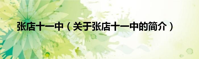 张店十一中（关于张店十一中的简介）