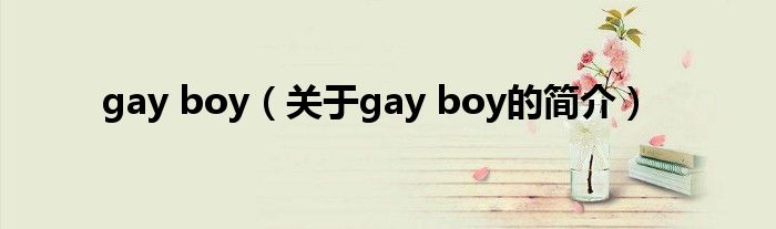 gay boy（关于gay boy的简介）