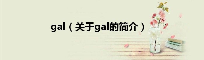 gal（关于gal的简介）