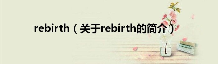 rebirth（关于rebirth的简介）