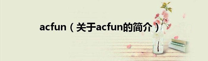 acfun（关于acfun的简介）