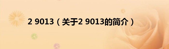2 9013（关于2 9013的简介）