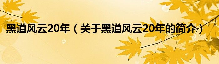 黑道风云20年（关于黑道风云20年的简介）