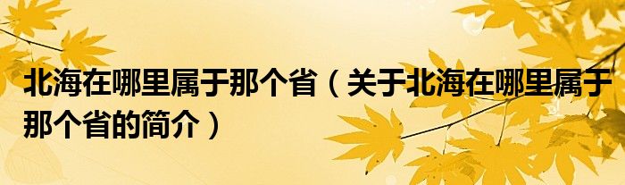 北海在哪里属于那个省（关于北海在哪里属于那个省的简介）