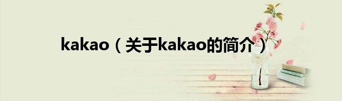 kakao（关于kakao的简介）