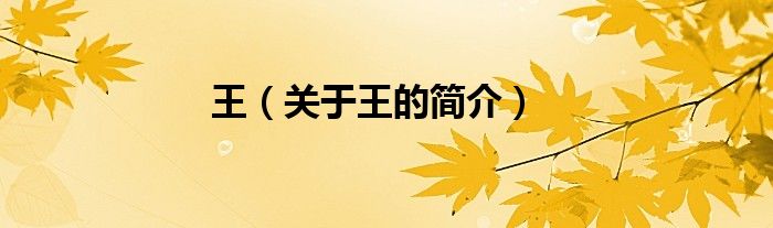 王（关于王的简介）