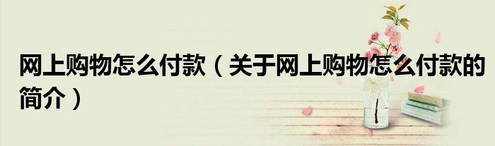 网上购物怎么付款（关于网上购物怎么付款的简介）