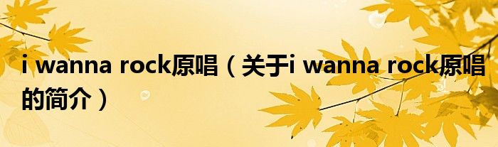 i wanna rock原唱（关于i wanna rock原唱的简介）