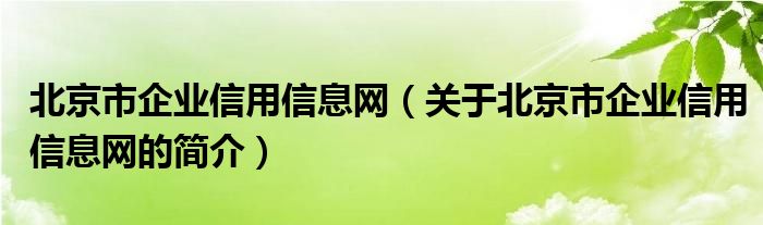 北京市企业信用信息网（关于北京市企业信用信息网的简介）