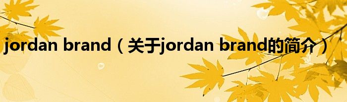 jordan brand（关于jordan brand的简介）
