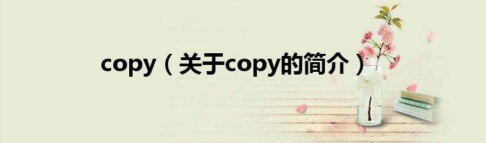 copy（关于copy的简介）