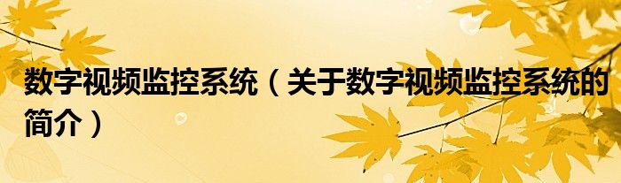 数字视频监控系统（关于数字视频监控系统的简介）