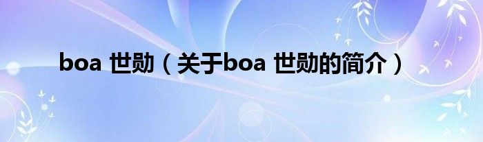 boa 世勋（关于boa 世勋的简介）