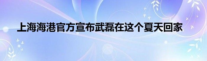  上海海港官方宣布武磊在这个夏天回家