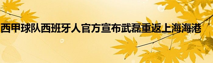 西甲球队西班牙人官方宣布武磊重返上海海港