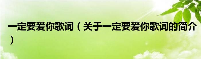 一定要爱你歌词（关于一定要爱你歌词的简介）