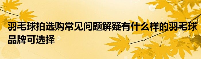 羽毛球拍选购常见问题解疑有什么样的羽毛球品牌可选择