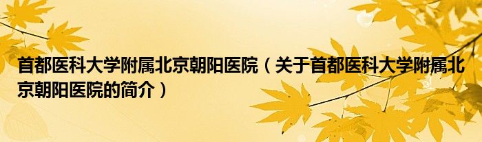 首都医科大学附属北京朝阳医院（关于首都医科大学附属北京朝阳医院的简介）