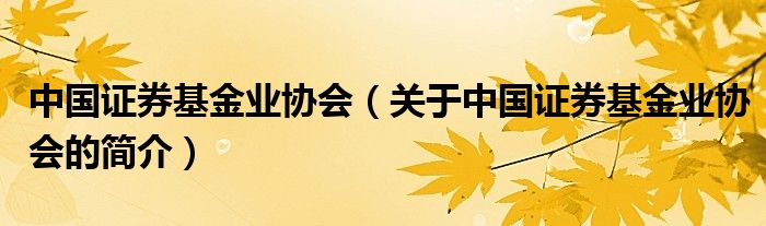 中国证券基金业协会（关于中国证券基金业协会的简介）