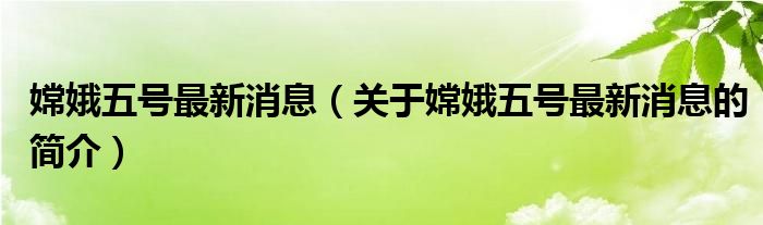 嫦娥五号最新消息（关于嫦娥五号最新消息的简介）