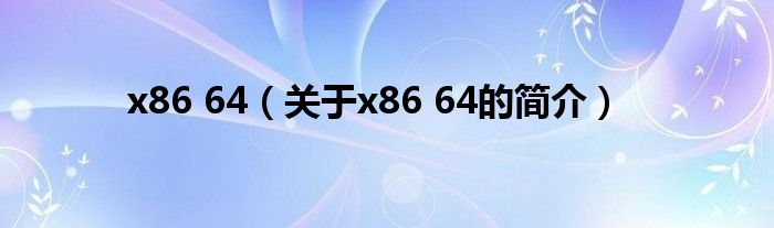 x86 64（关于x86 64的简介）