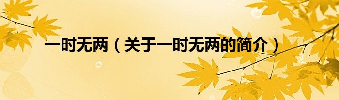 一时无两（关于一时无两的简介）