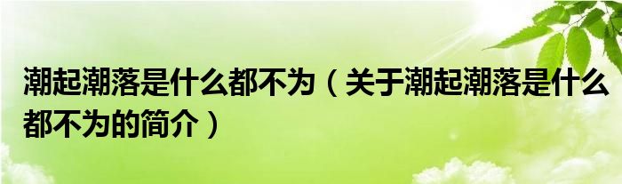 潮起潮落是什么都不为（关于潮起潮落是什么都不为的简介）