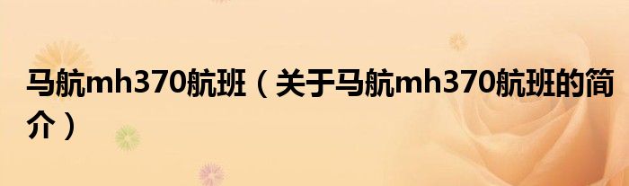 马航mh370航班（关于马航mh370航班的简介）