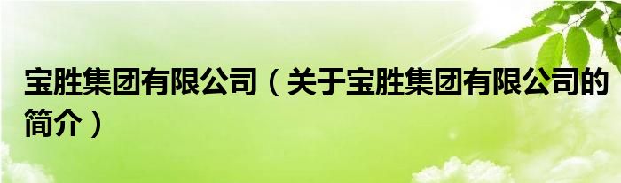 宝胜集团有限公司（关于宝胜集团有限公司的简介）