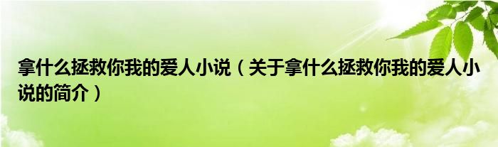 拿什么拯救你我的爱人小说（关于拿什么拯救你我的爱人小说的简介）