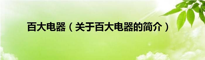 百大电器（关于百大电器的简介）