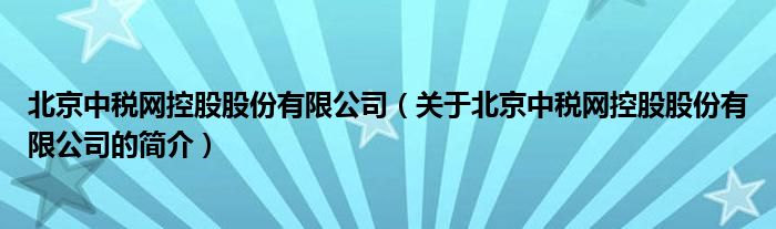 北京中税网控股股份有限公司（关于北京中税网控股股份有限公司的简介）