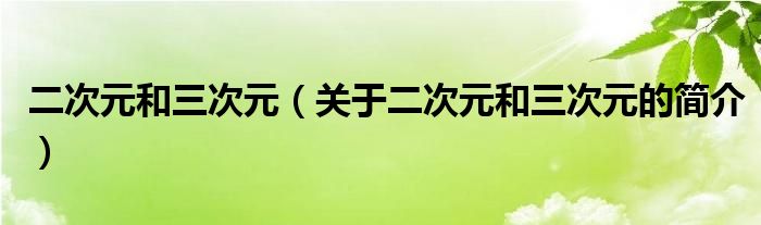 二次元和三次元（关于二次元和三次元的简介）