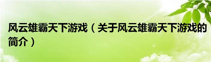 风云雄霸天下游戏（关于风云雄霸天下游戏的简介）