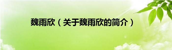魏雨欣（关于魏雨欣的简介）