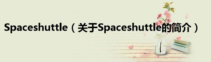 Spaceshuttle（关于Spaceshuttle的简介）