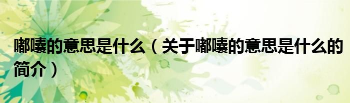 嘟囔的意思是什么（关于嘟囔的意思是什么的简介）
