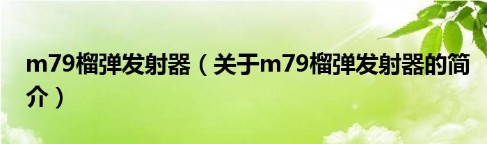 m79榴弹发射器（关于m79榴弹发射器的简介）