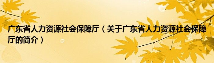 广东省人力资源社会保障厅（关于广东省人力资源社会保障厅的简介）