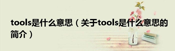 tools是什么意思（关于tools是什么意思的简介）