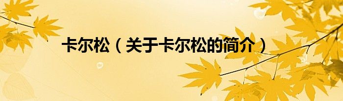 卡尔松（关于卡尔松的简介）