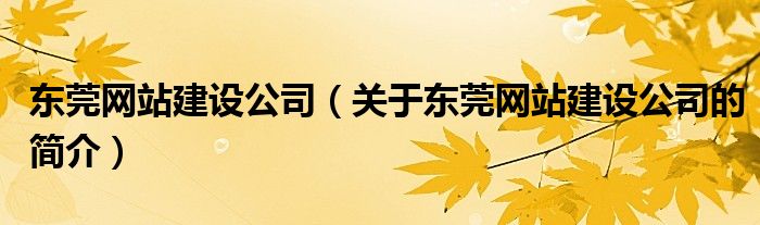 东莞网站建设公司（关于东莞网站建设公司的简介）