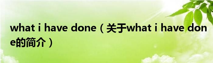 what i have done（关于what i have done的简介）