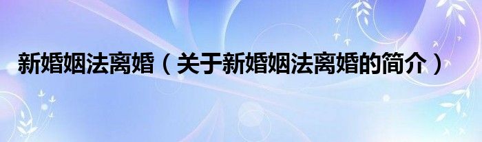 新婚姻法离婚（关于新婚姻法离婚的简介）