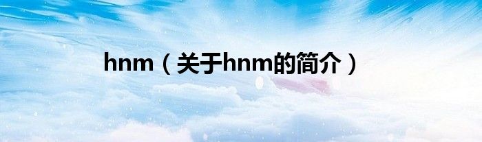 hnm（关于hnm的简介）