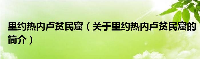 里约热内卢贫民窟（关于里约热内卢贫民窟的简介）