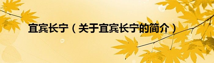 宜宾长宁（关于宜宾长宁的简介）