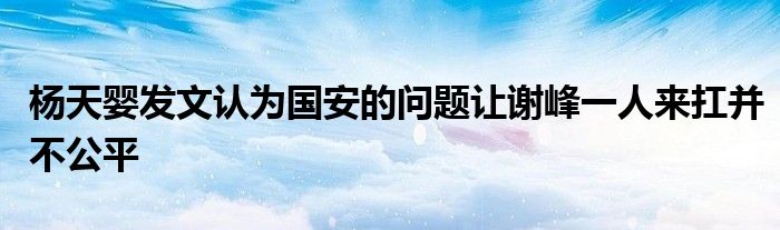 杨天婴发文认为国安的问题让谢峰一人来扛并不公平