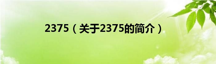 2375（关于2375的简介）