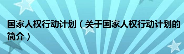 国家人权行动计划（关于国家人权行动计划的简介）